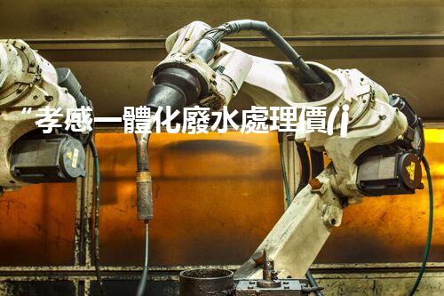 “孝感一體化廢水處理價(jià)格怎么樣？一文詳解！”
